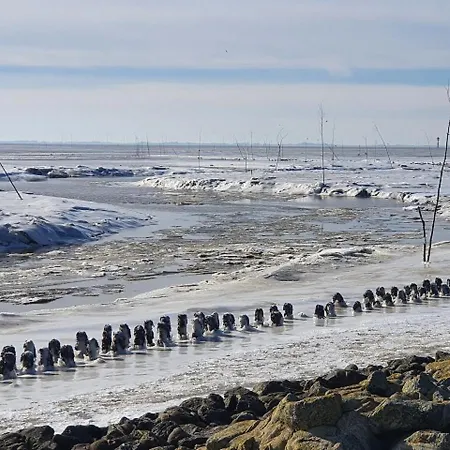 شقة Haus Christine