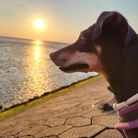 Lägenhet Haus Christine