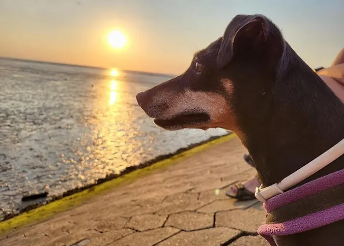 Lejlighed Haus Christine